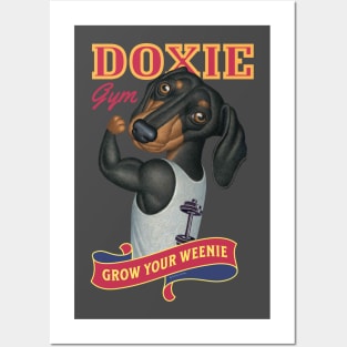 Dachshund going to Doxie Gym to grow your weenie with red trim Posters and Art